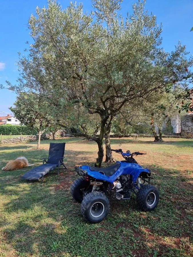Apartment Pharos Zambratija  Croatia